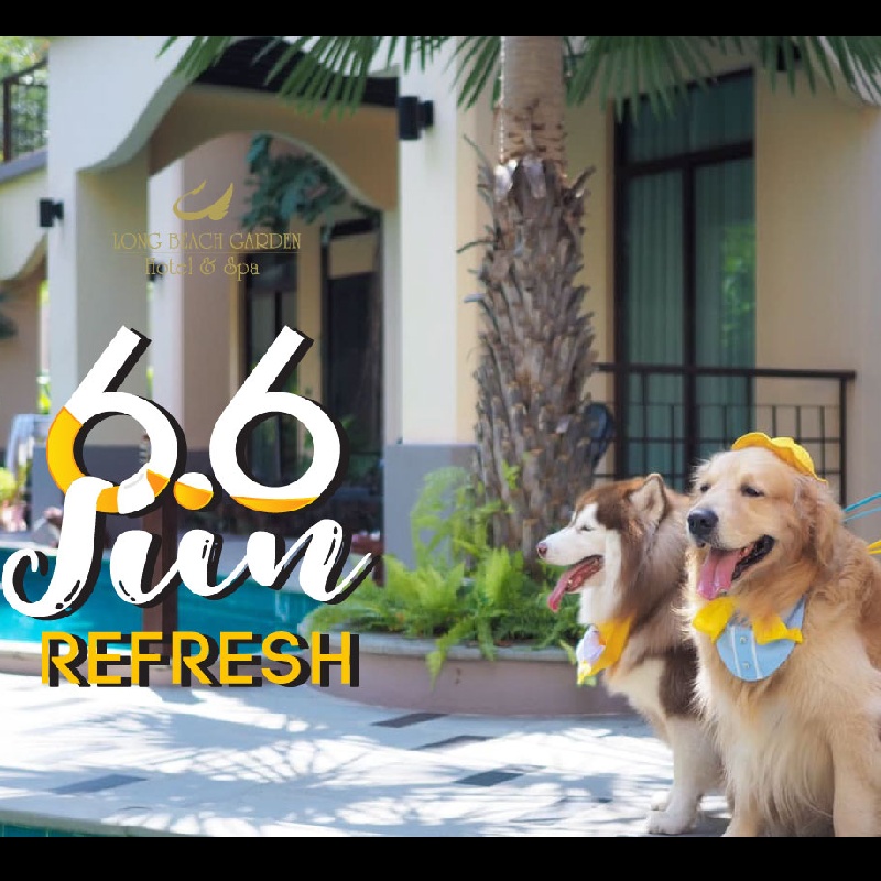 Megatix 6.6 June Refresh Dog Friendly Long Beach Garden Hotel Pattaya