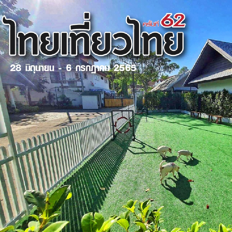 62nd Thai Tiew Thai Dog-Friendly | Long Beach Garden Hotel Pattaya
