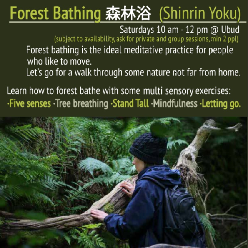 Megatix - Multi Sensory Forest Bathing 森林浴 (Shinrin Yoku) @ Ubud